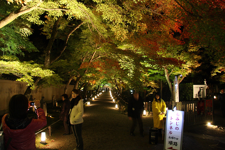 宝厳院：紅葉ライトアップ