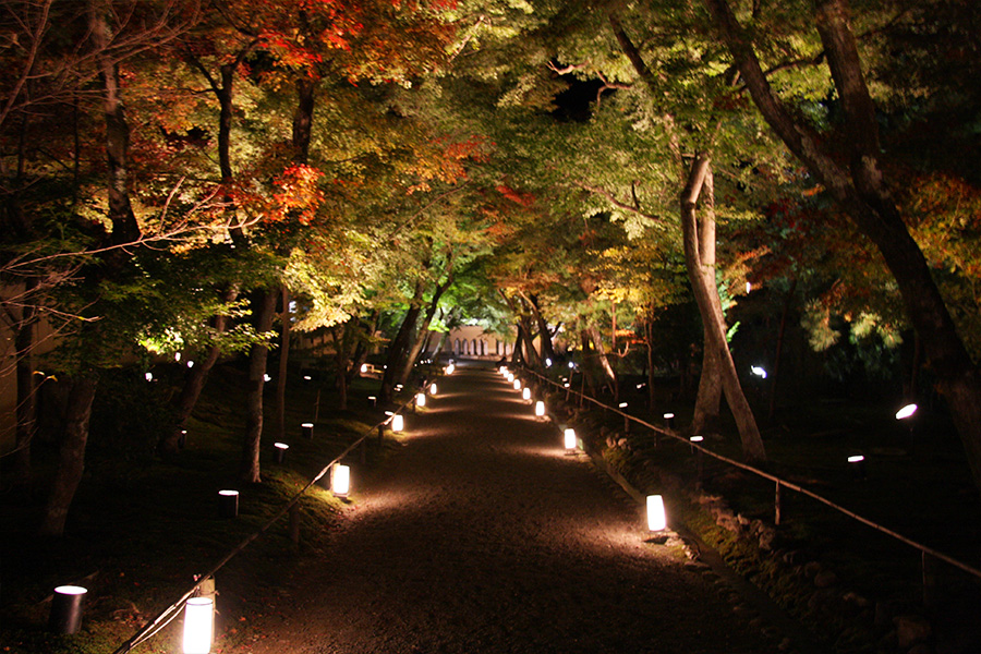 宝厳院：紅葉ライトアップ