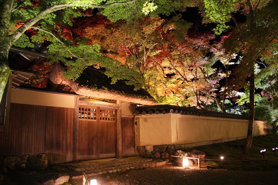 宝厳院：紅葉ライトアップ