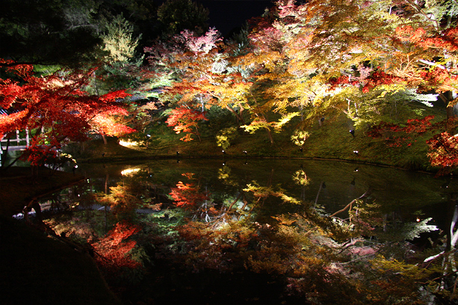 高台寺：紅葉ライトアップ