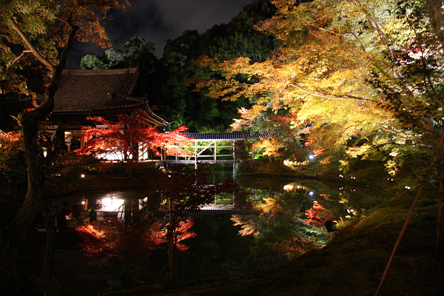 高台寺：紅葉ライトアップ