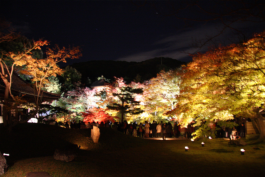 高台寺：紅葉ライトアップ