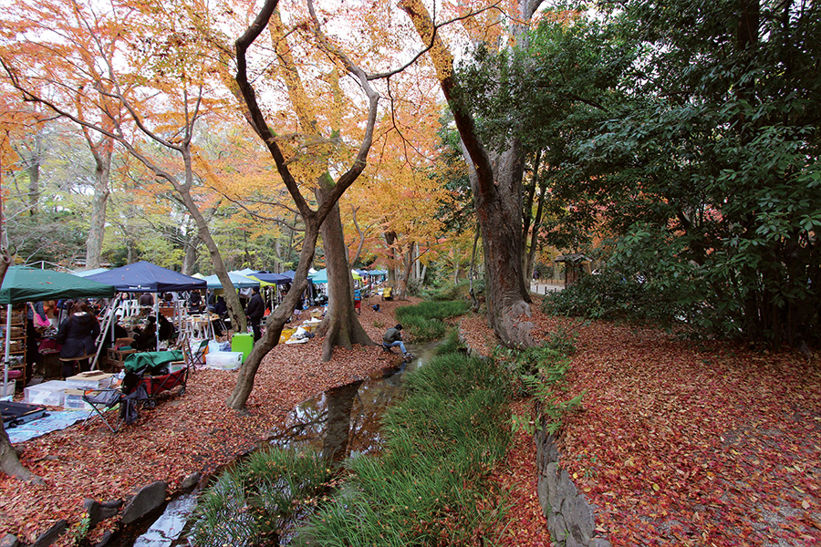 糺の森 紅葉