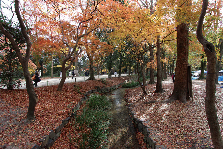 糺の森 紅葉