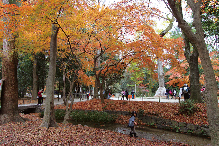 糺の森 紅葉