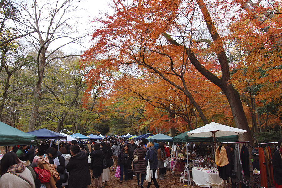 糺の森 紅葉