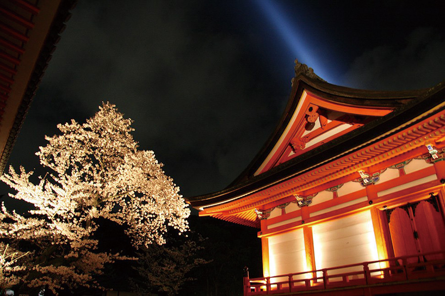 清水寺：桜ライトアップ