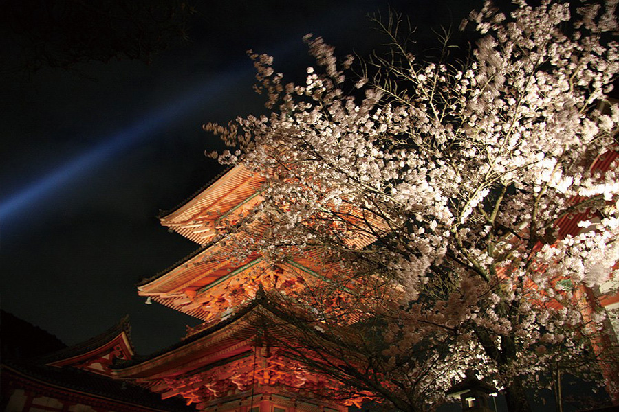 清水寺：桜ライトアップ