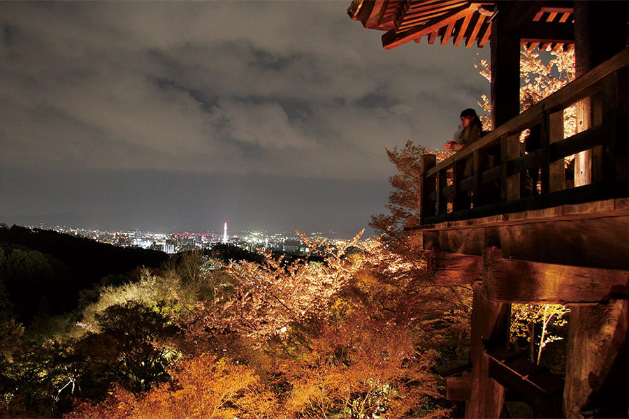 清水寺：桜ライトアップ