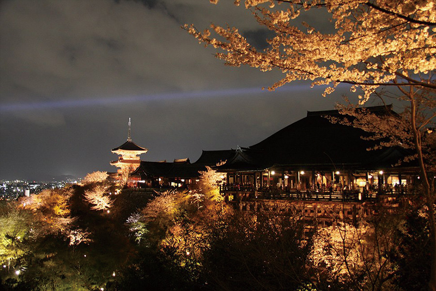 清水寺：桜ライトアップ