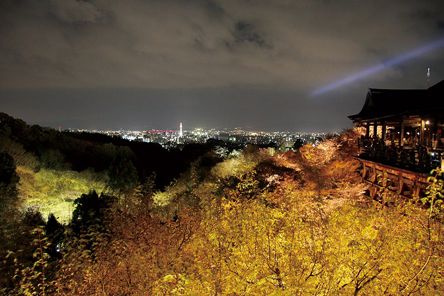 清水寺：桜ライトアップ